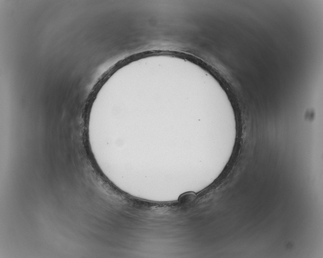 X0000110901264200907161542