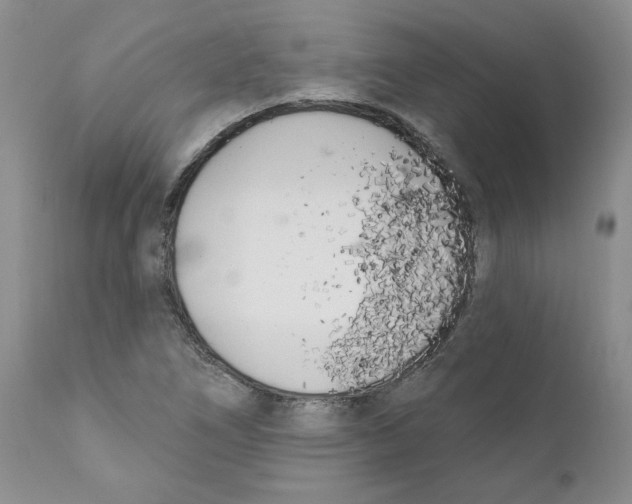 X0000110901266200907161542