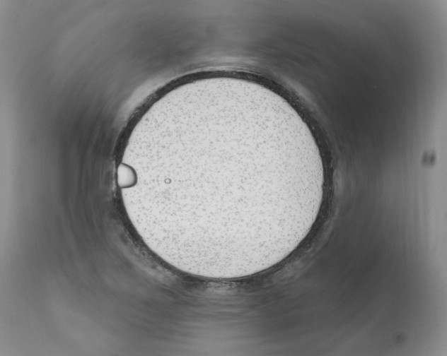 X0000110901267200907161542