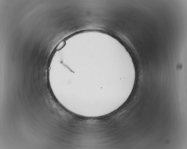 X0000110901268200907161542