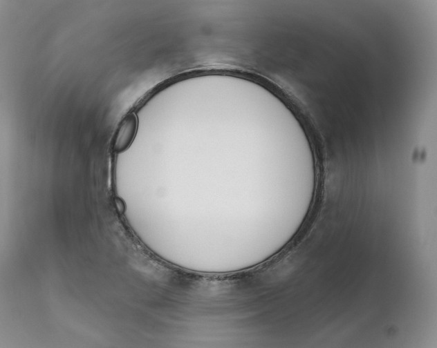 X0000110901269200907161542