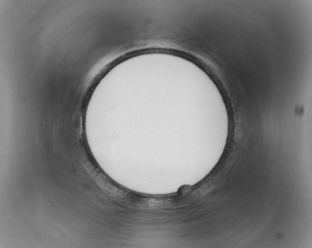 X0000110901271200907161542