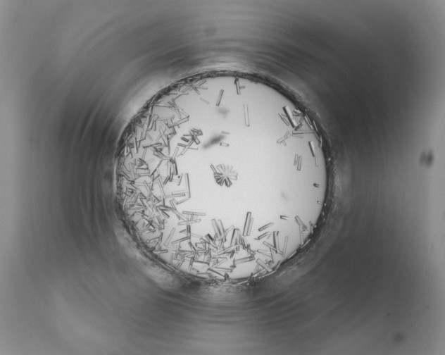 X0000110901274200907161542