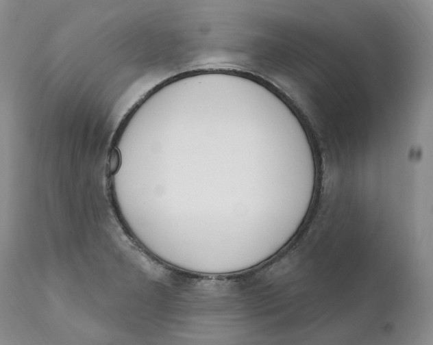 X0000110901277200907161542