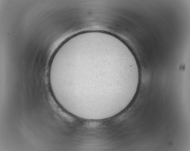 X0000110901278200907161542