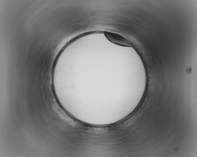 X0000110901280200907161542