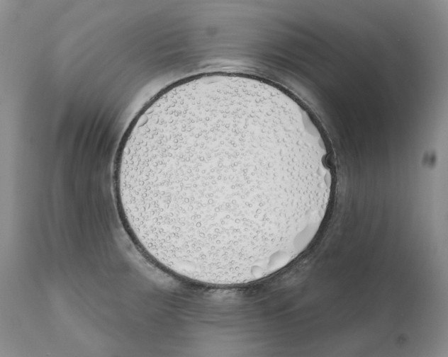 X0000110901283200907161542