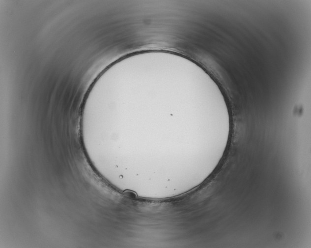 X0000110901284200907161542