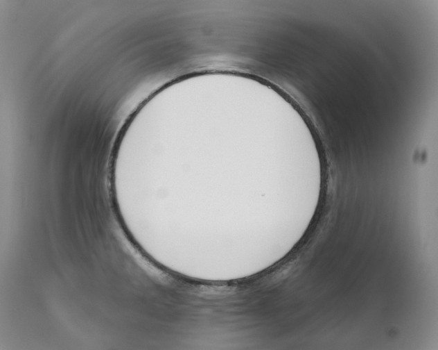 X0000110901285200907161542