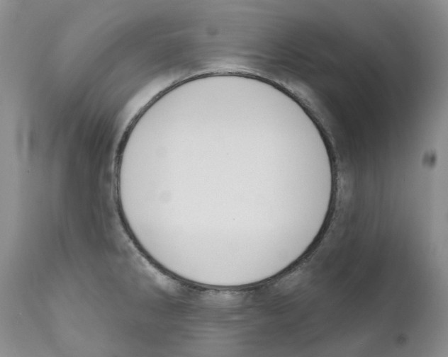 X0000110901286200907161542