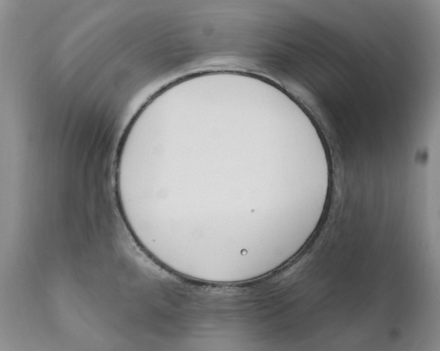 X0000110901288200907161542