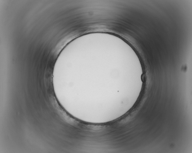 X0000110901289200907161542