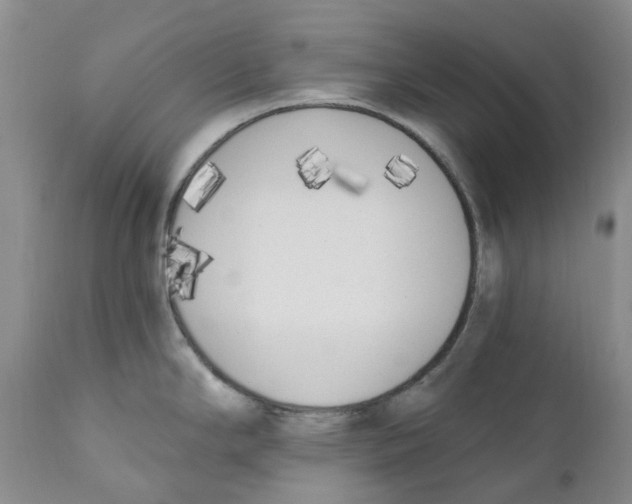 X0000110901294200907161542