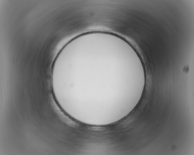 X0000110901295200907161542