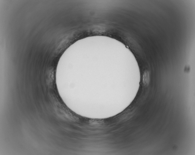 X0000110901299200907161541