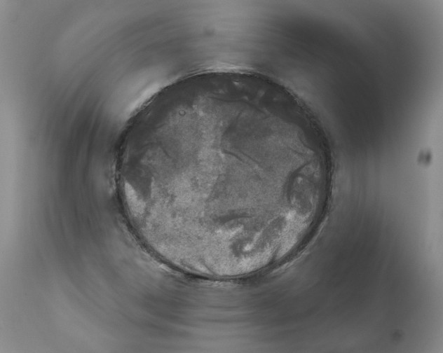 X0000110901306200907161541