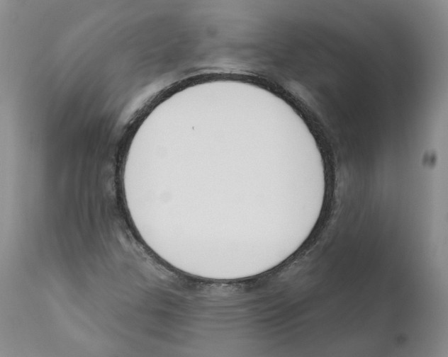 X0000110901307200907161541