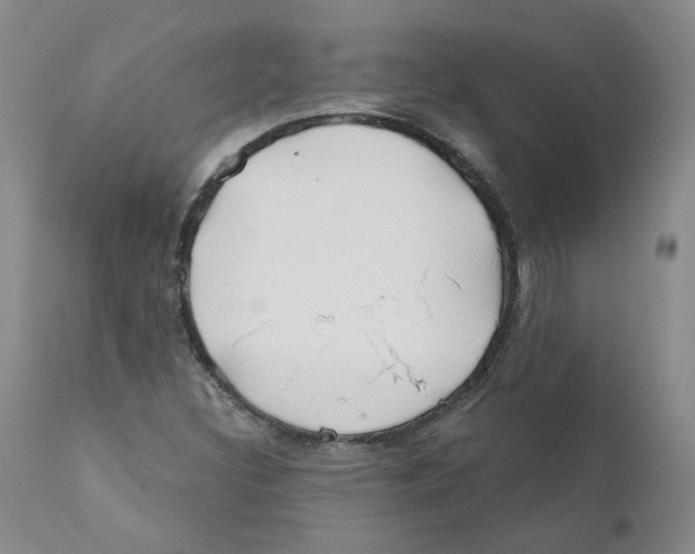 X0000110901308200907161541