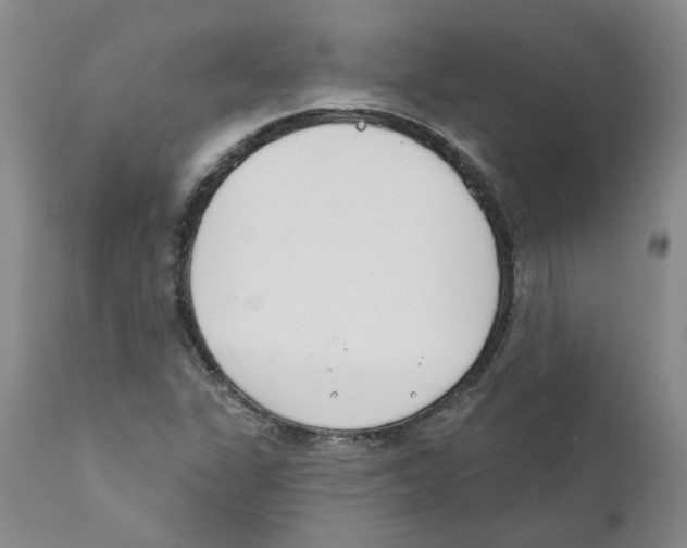 X0000110901311200907161541