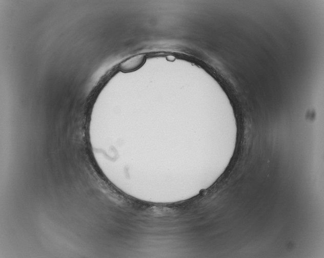 X0000110901312200907161541