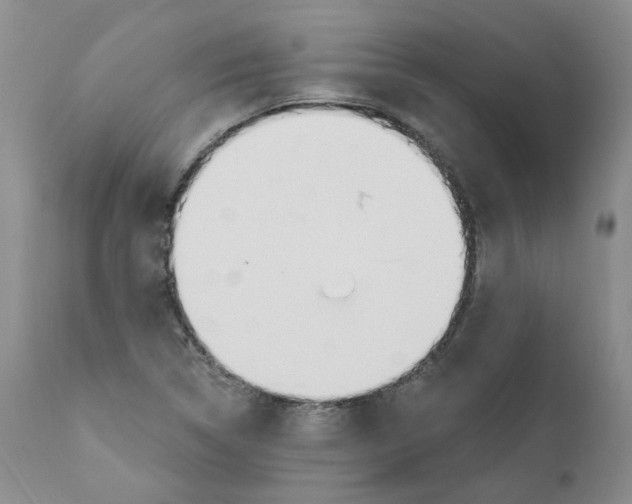 X0000110901314200907161541