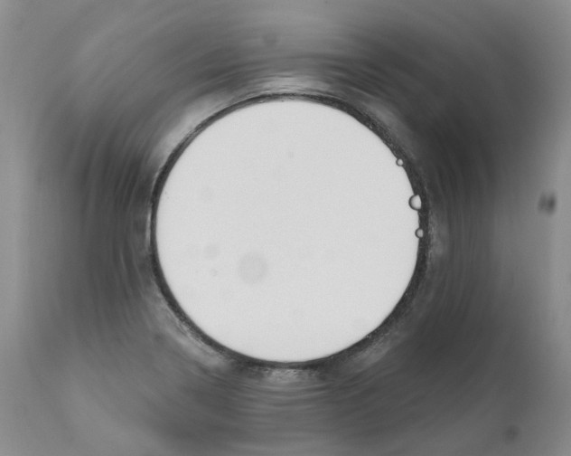 X0000110901322200907161542