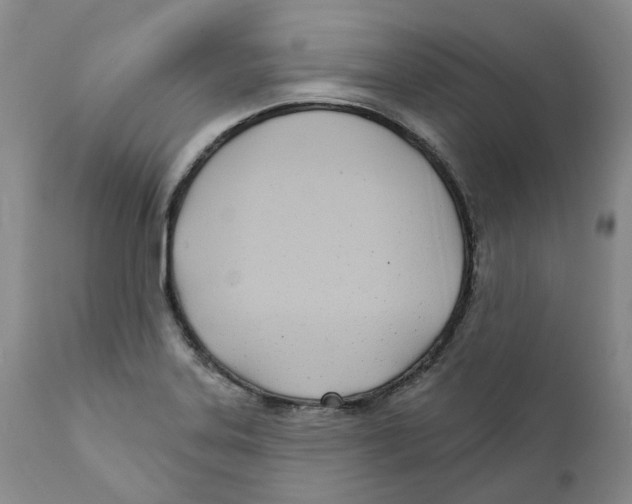 X0000110901323200907161542