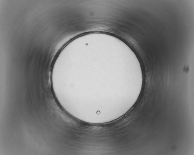 X0000110901324200907161542