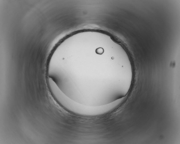 X0000110901326200907161542