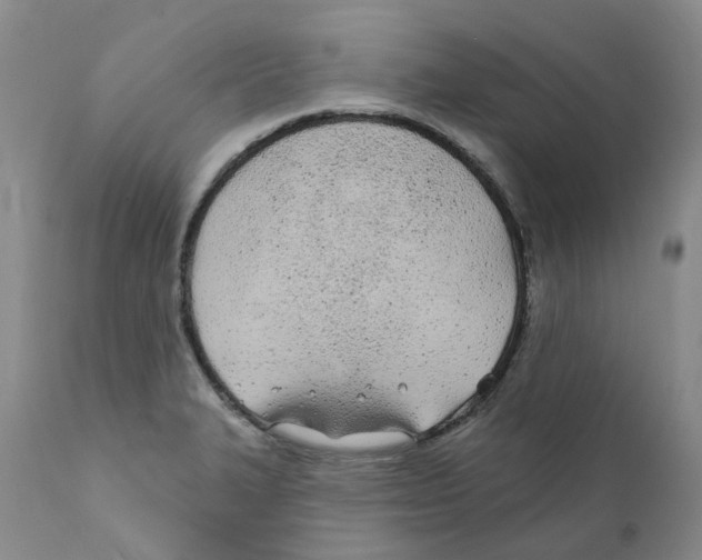 X0000110901327200907161542