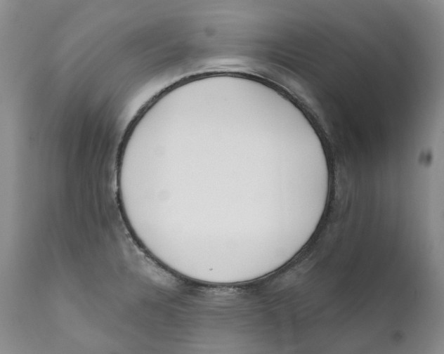 X0000110901328200907161542