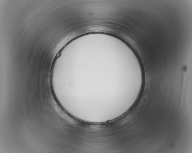 X0000110901330200907161542