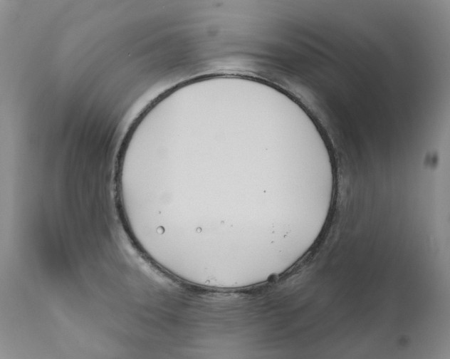 X0000110901331200907161542