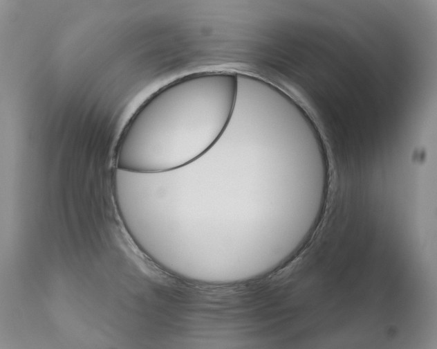 X0000110901332200907161542