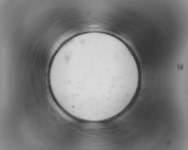 X0000110901333200907161542