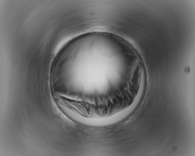 X0000110901334200907161542