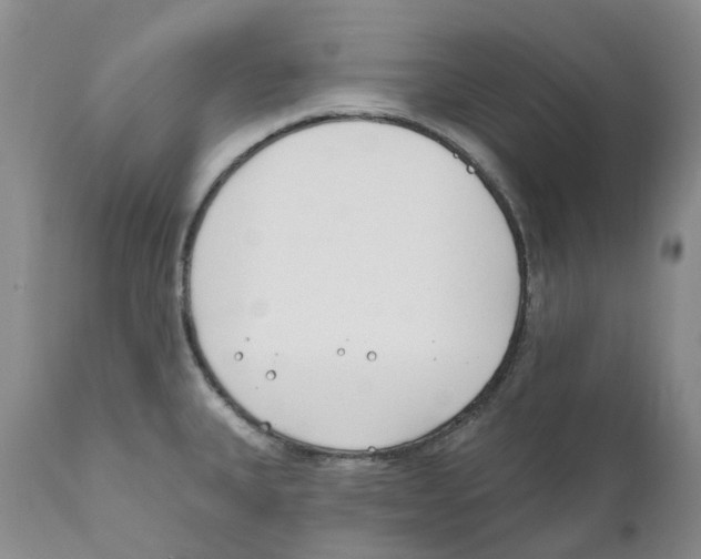 X0000110901335200907161542