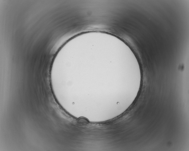 X0000110901336200907161542