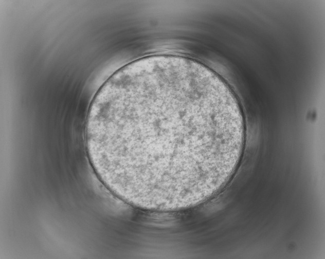 X0000110901338200907161542