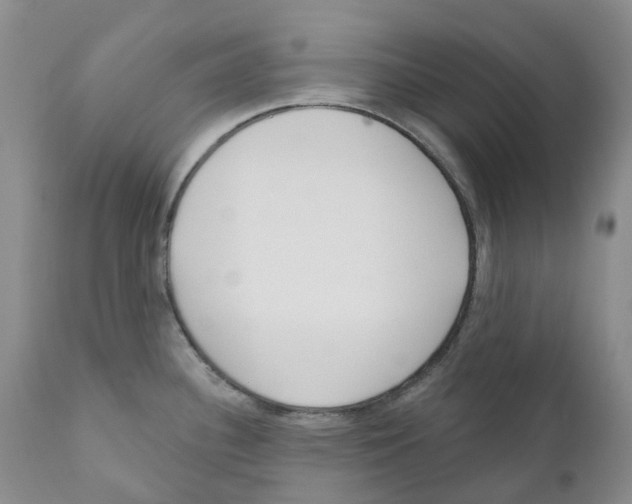 X0000110901340200907161542