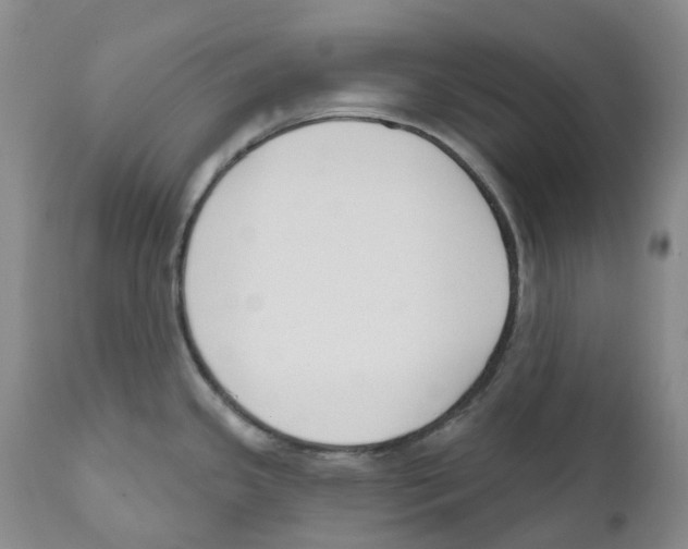 X0000110901341200907161542