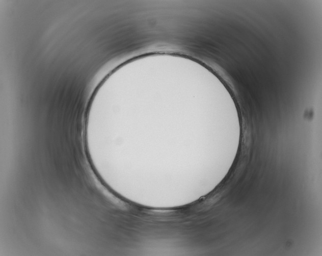 X0000110901343200907161542