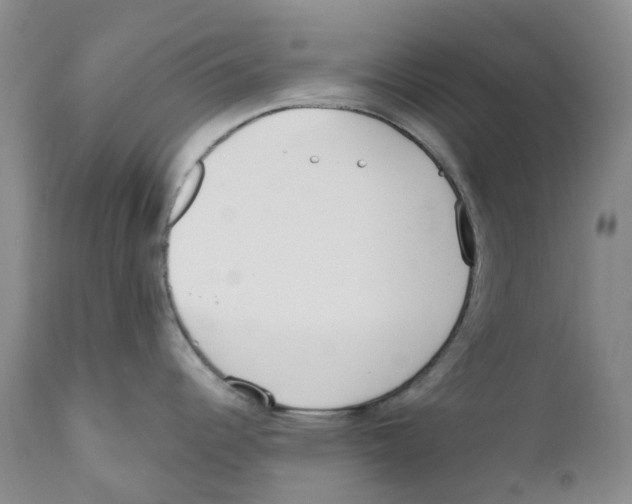 X0000110901344200907161542