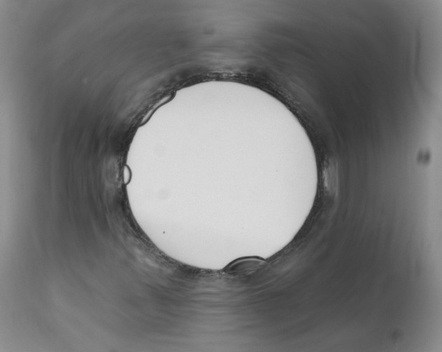 X0000110901347200907161541