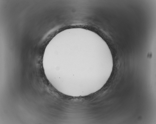 X0000110901351200907161541