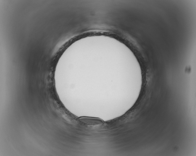 X0000110901352200907161541