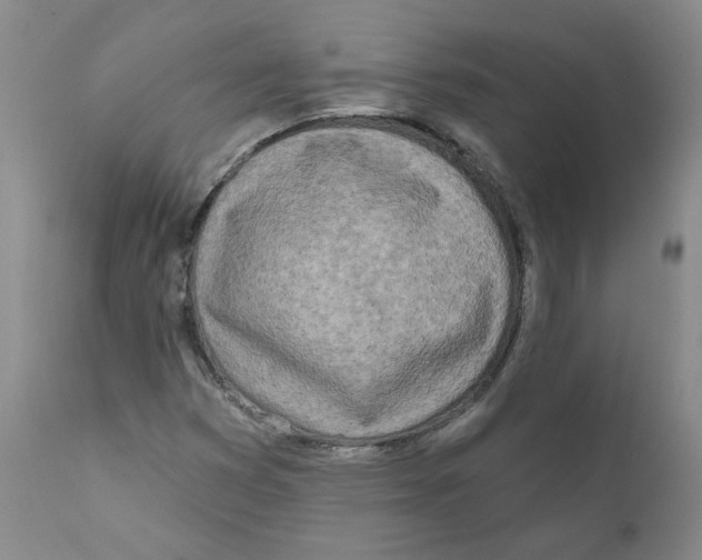 X0000110901353200907161541