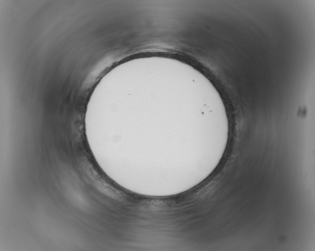 X0000110901355200907161541