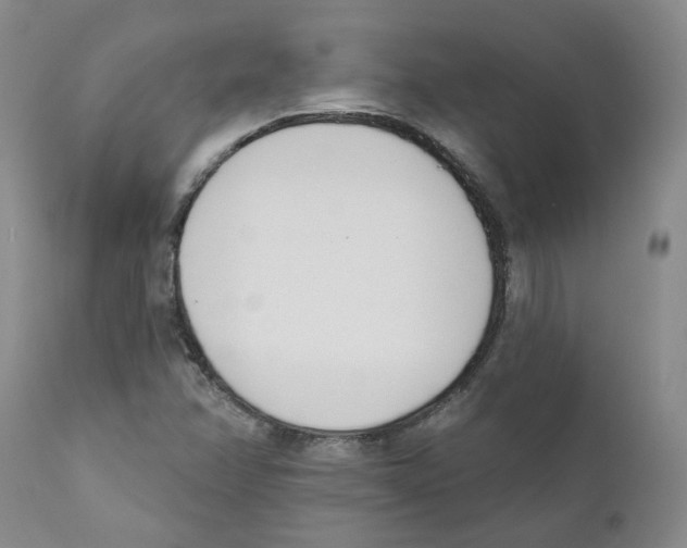 X0000110901358200907161541