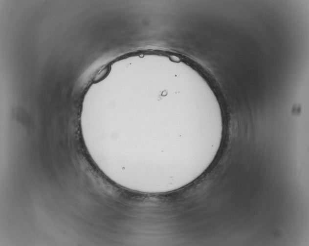 X0000110901359200907161541